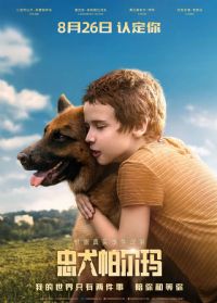 ��Ȯ������